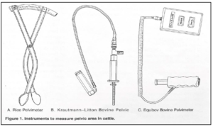 Pelvimeter.png